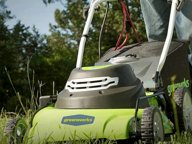 Best Home Depot Lawn Mowers