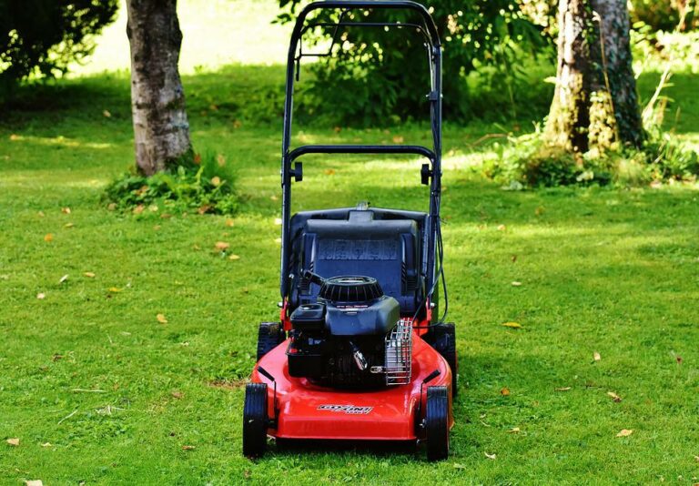 Briggs and Stratton vs Honda Engine
