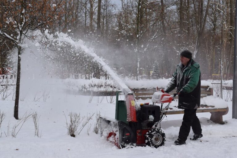 Briggs and Stratton vs Toro Snowblower