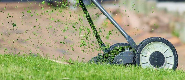 What is the Easiest Lawn Mower to Use?