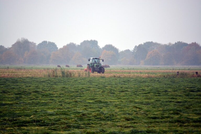 What Holiday Has the Best Lawn Mower Deals?
