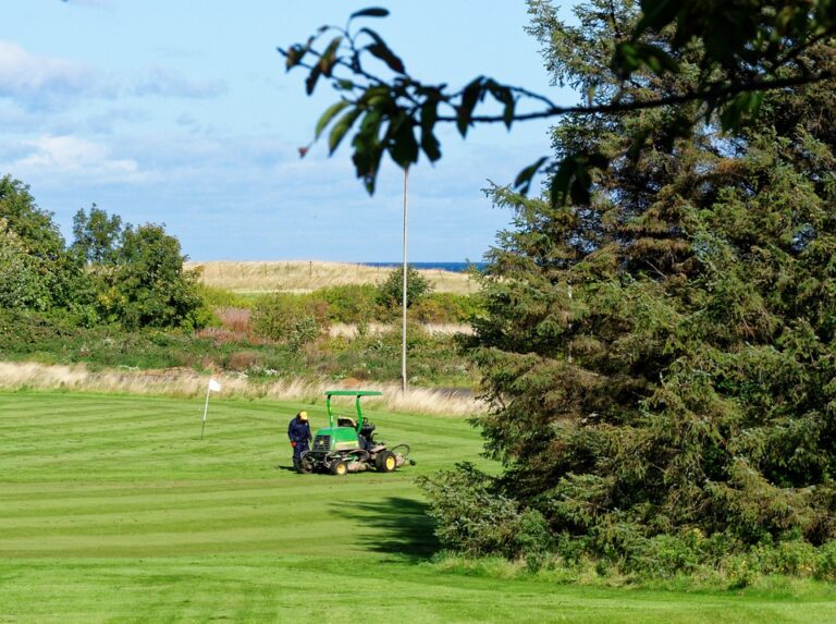 Do Smaller Mower Decks Cut Better