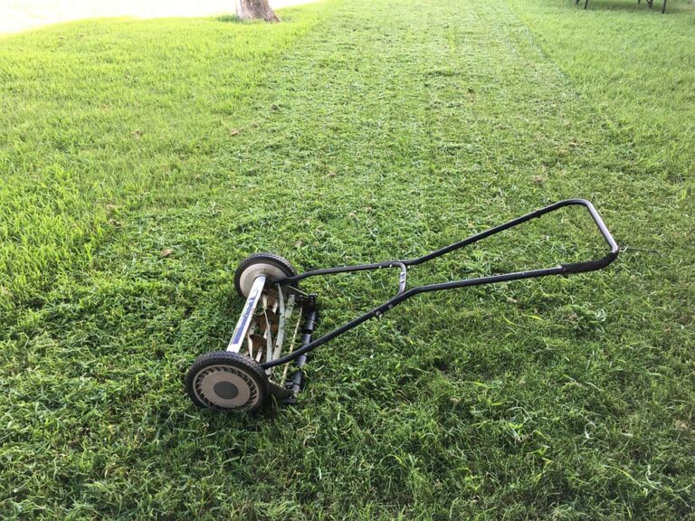 What Type of Gas Do You Put in a Push Mower?