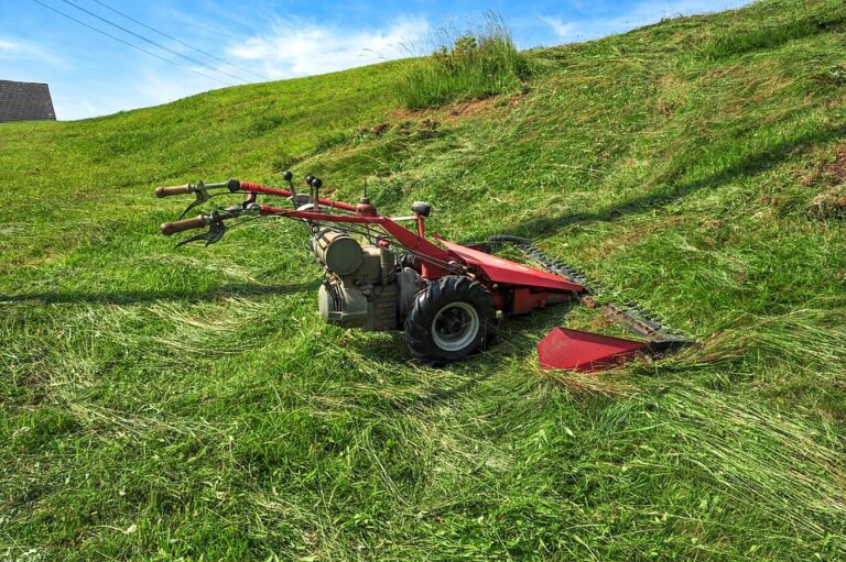 Can You Put Dry Gas in a Lawnmower?