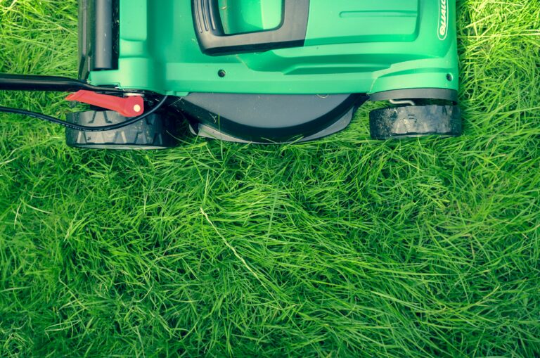 To Mow or Not to Mow: The Great Hill Debate