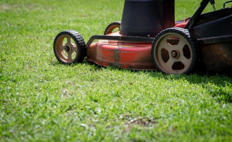 How Long Can Gas Sit in a Lawn Mower Before it Goes Bad?