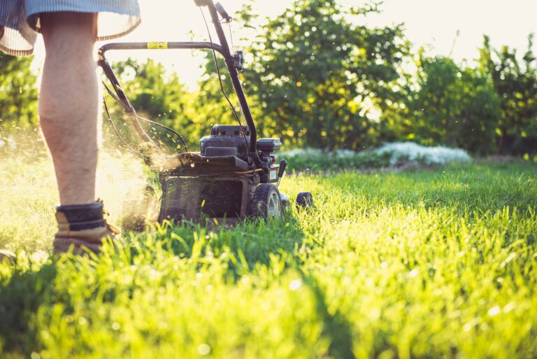 What Happens if You Run Old Gas in a Lawn Mower?