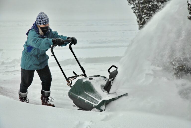 Who Makes Craftsman Snowblower Engines?