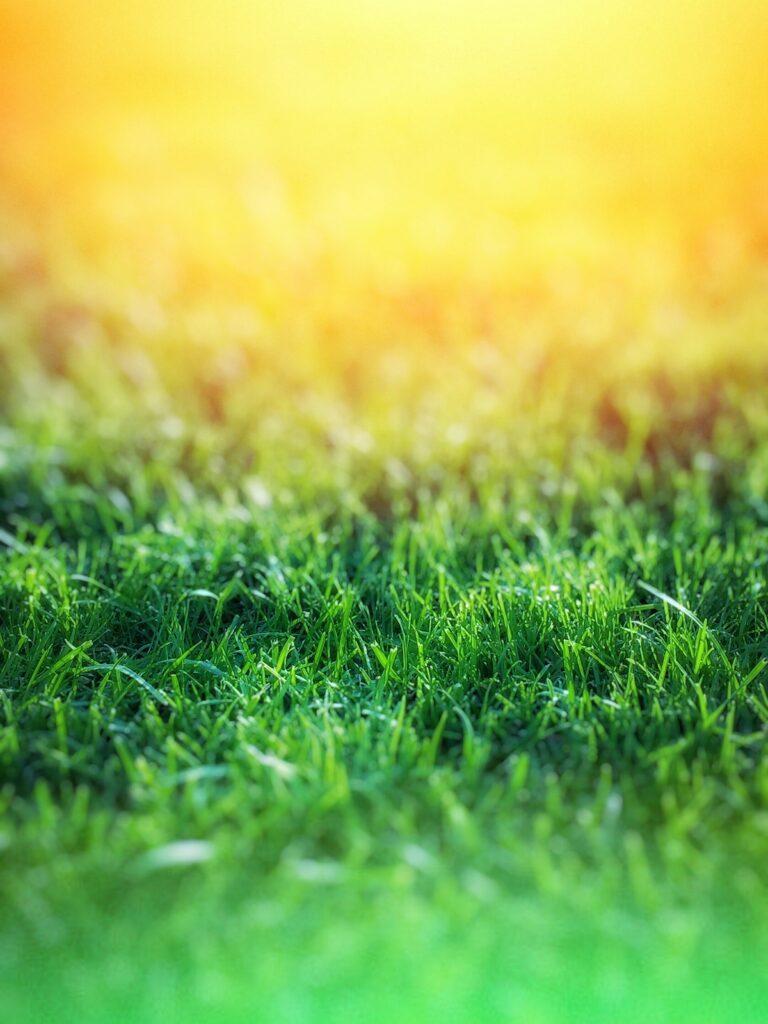 Why Does My Lawn Mower Make Lines in the Grass?