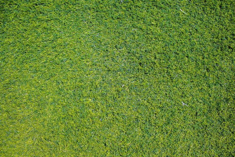 Why Is My Mower Not Cutting Evenly?