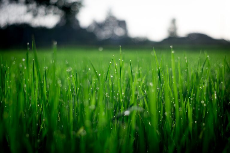 What Is The Best Mowing Pattern?