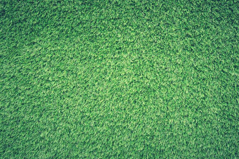 What Is The Most Efficient Way To Mow?