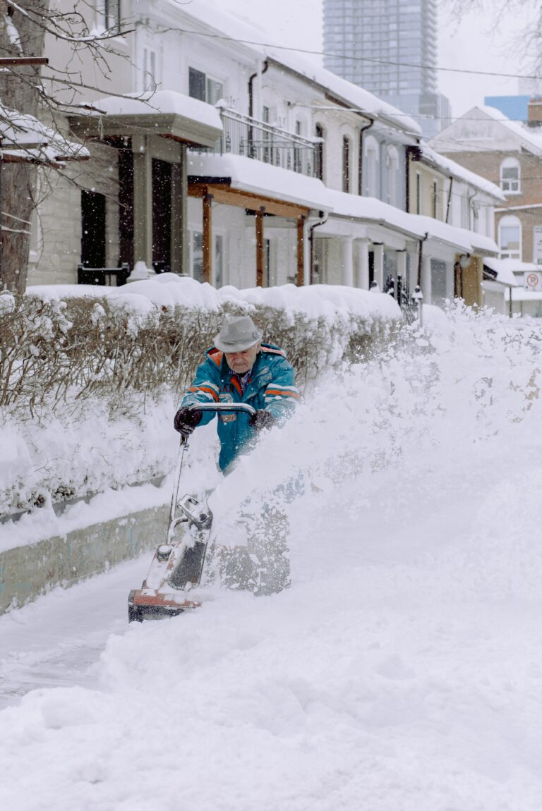 Who Makes Cub Cadet Snowblower Engines?