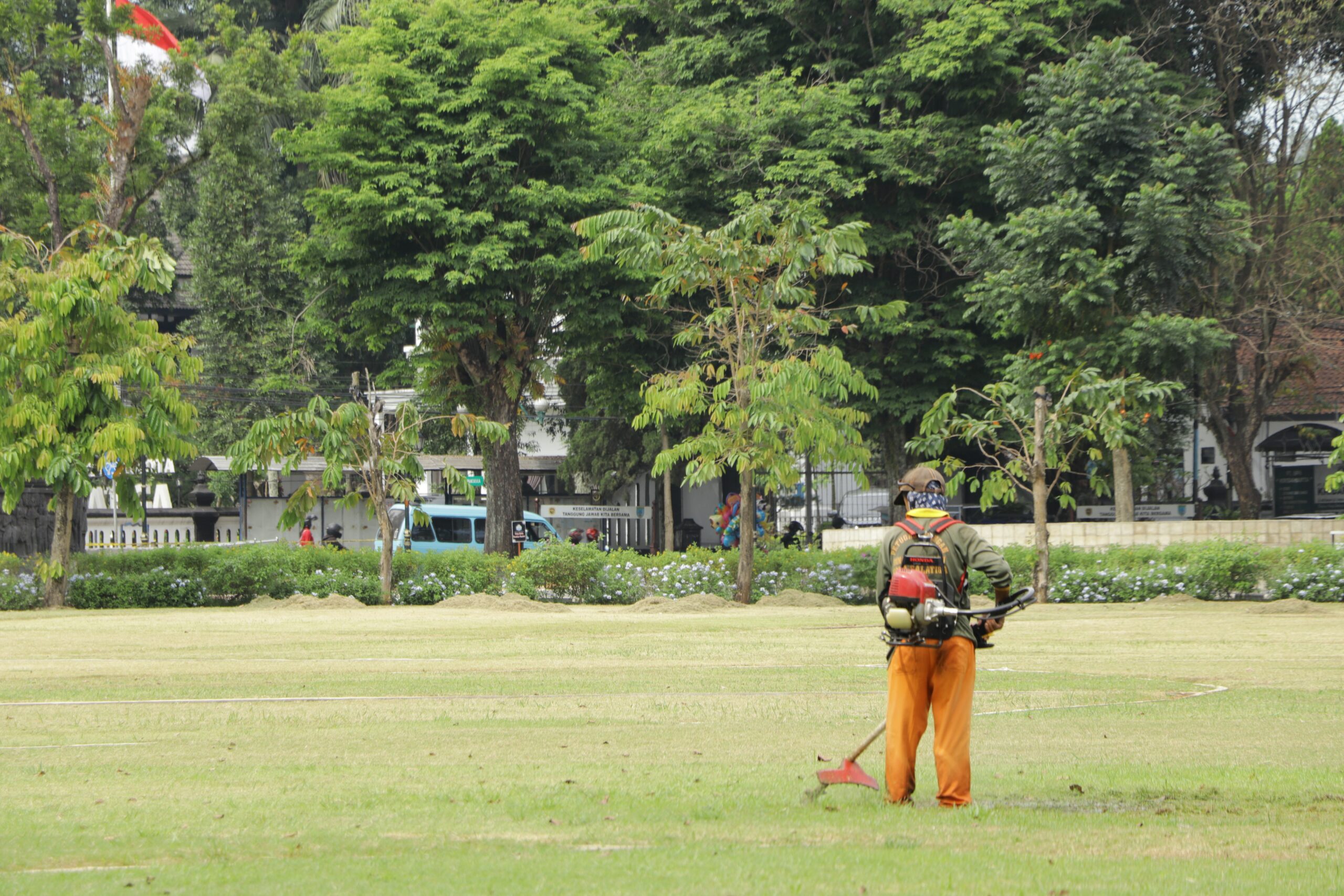 Auto Choke Lawn Mower Won T Start