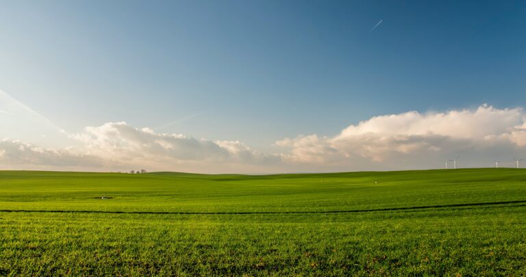 Is It Better To Mow Fast Or Slow?