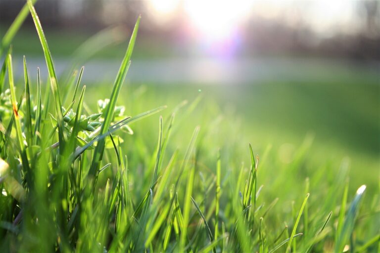 Do You Overlap When Mowing?