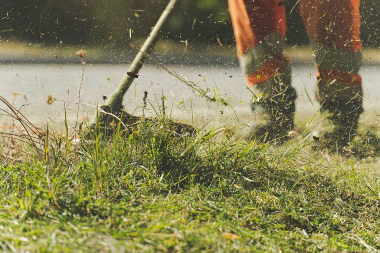 Blade Bonanza: Which Type is Best for Cutting Grass?