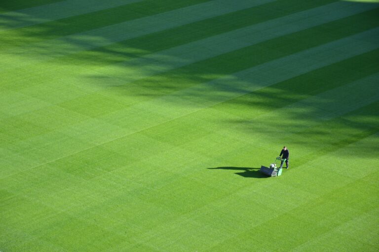 Hand Propelled vs. Self-Propelled Lawn Mowers: What's the Difference?