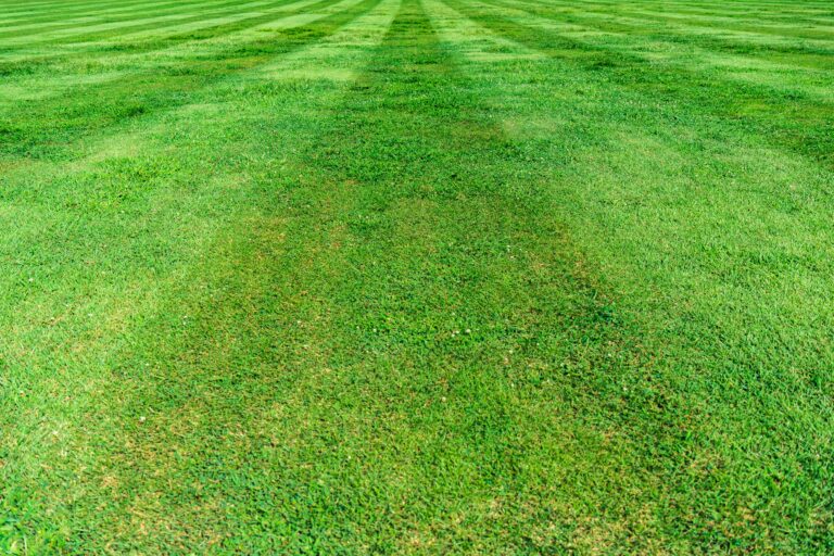 Are Self-Propelled Mowers Hard to Push?