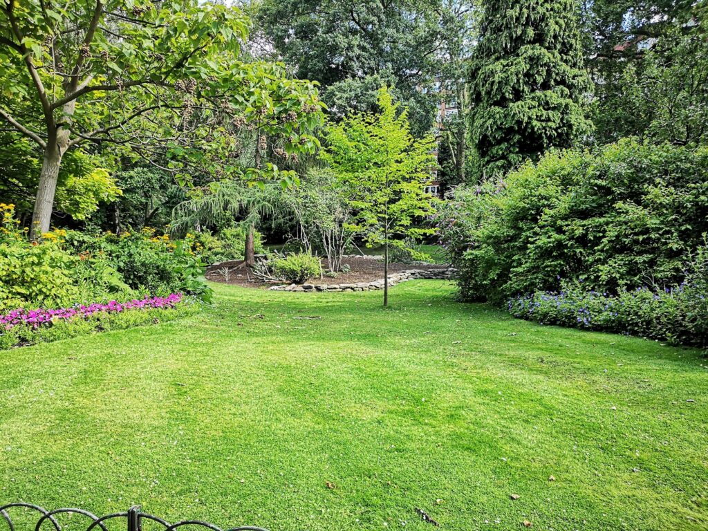A lawn that stops at planted beds under big shade trees