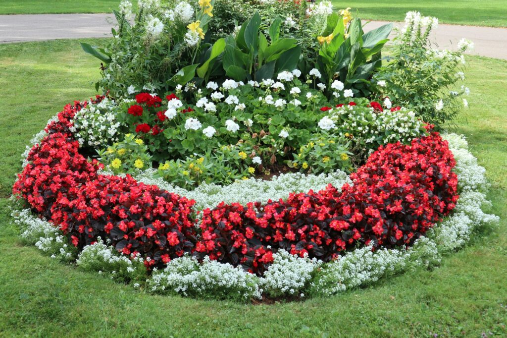 A small round flower bed sitting by itself in the middle of a lawn
