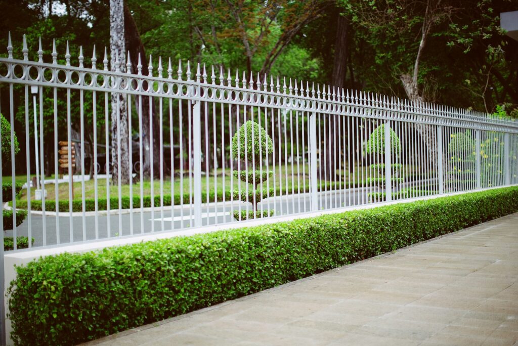 A low clipped hedge planted along the base of a long white metal fence beside a paved walk