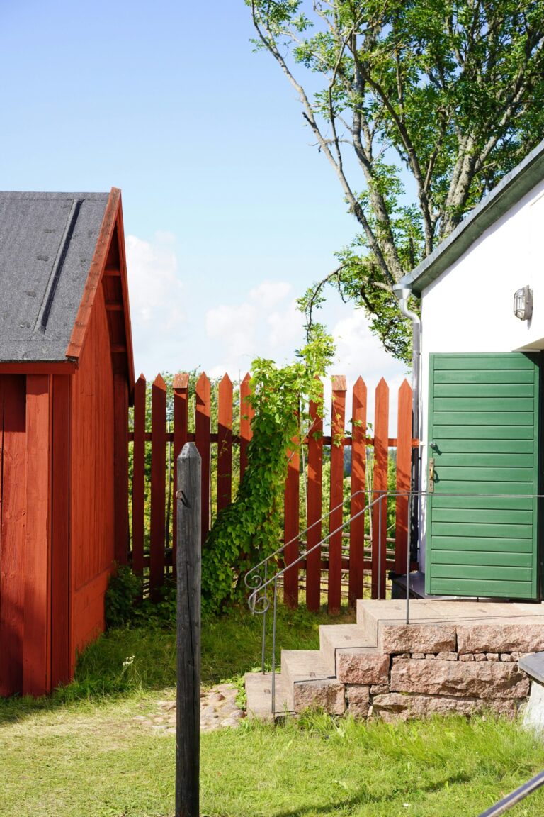 A red picket fence between a red shed and a white house, with lawn running up to it and a vine growing on the pickets