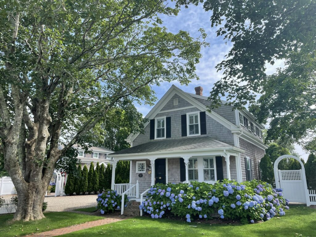 A shingled house with a big mass of blue hydrangeas filling the bed along its front porch