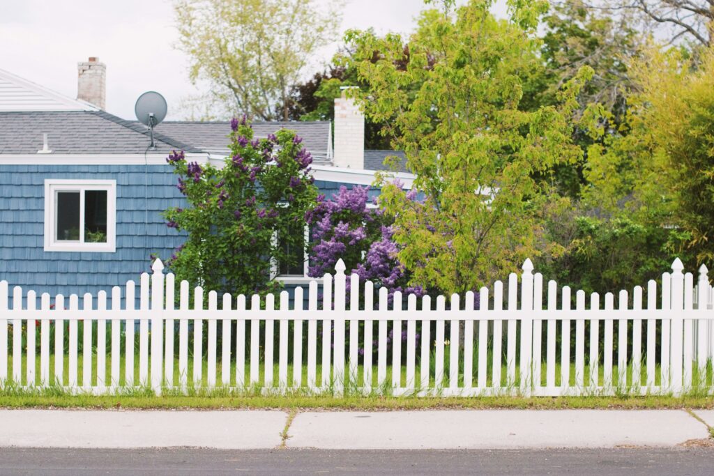 A white picket fence along a sidewalk with a strip of grass growing up through its base, a blue house and lilacs behind