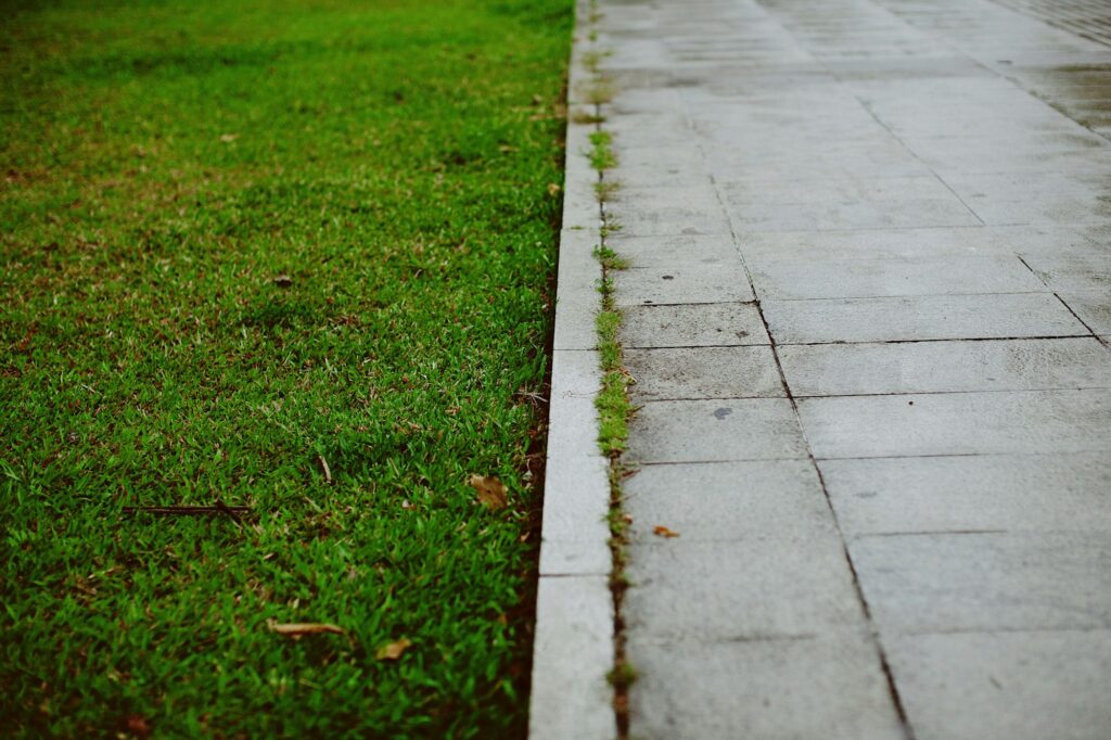 A mowed lawn meeting a raised concrete curb beside a paved walkway, a clean hard edge